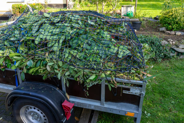 Best Scrap Metal Removal  in Bainbridge, GA